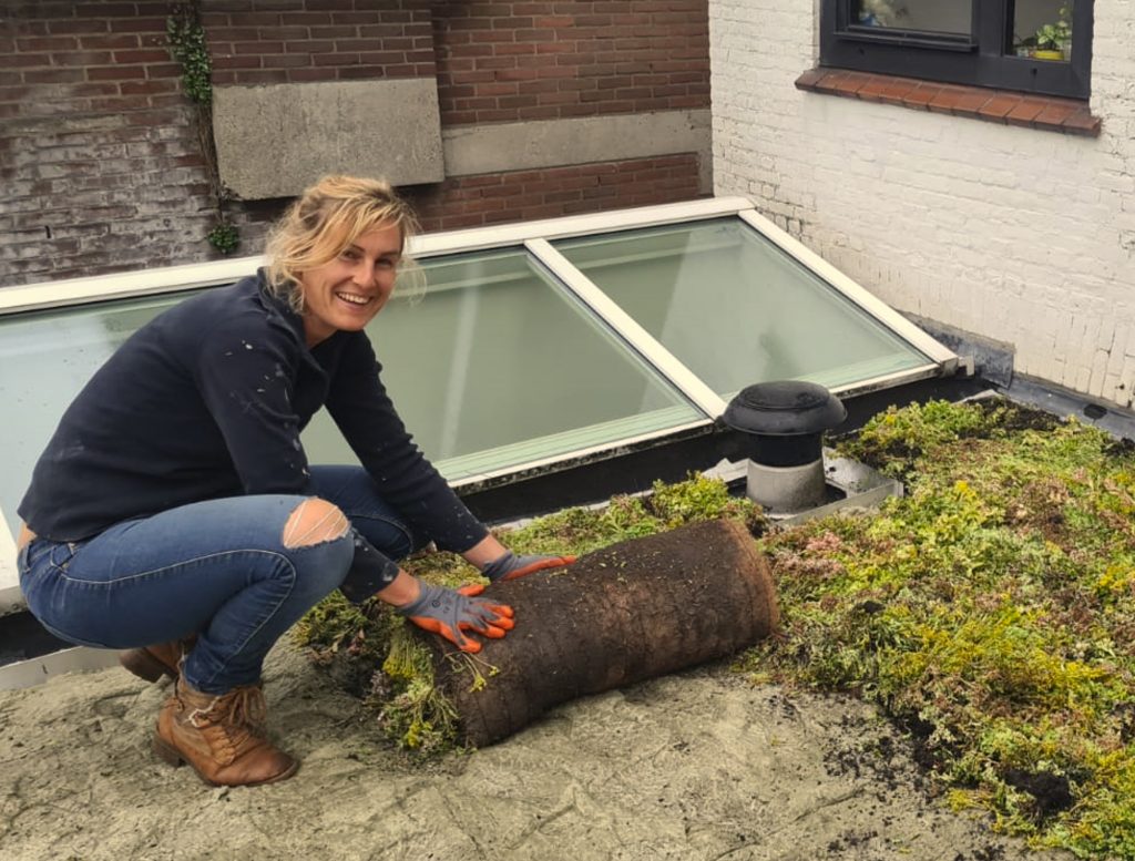 aanleg groen dak